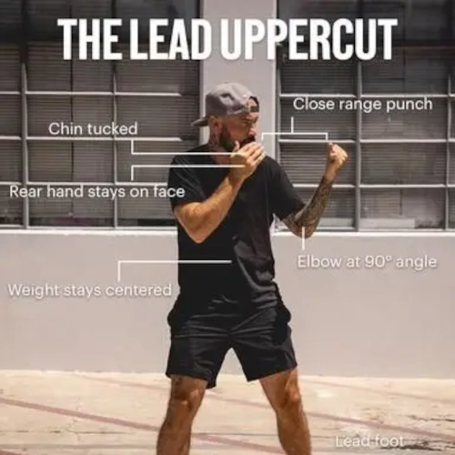 The Lead Uppercut